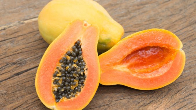 Papaya