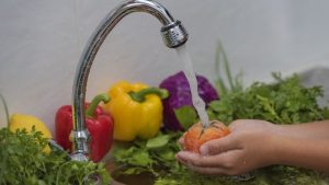 Wash Fruit and Vegetables