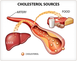 Blood cholesterol sources - liver and cholesterol containing foods