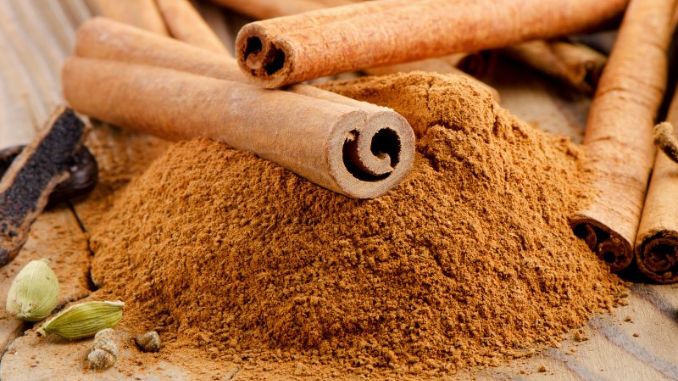 Nutrient-Packed Cinnamon Ice Cream