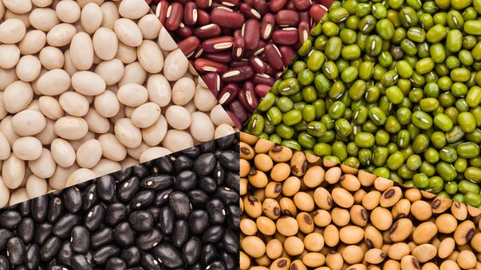 variety of beans superfoods