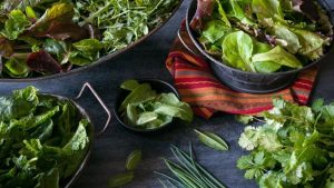 assorted-bowls-leafy-greens-vegetables