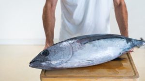 man-holding-whole-tuna