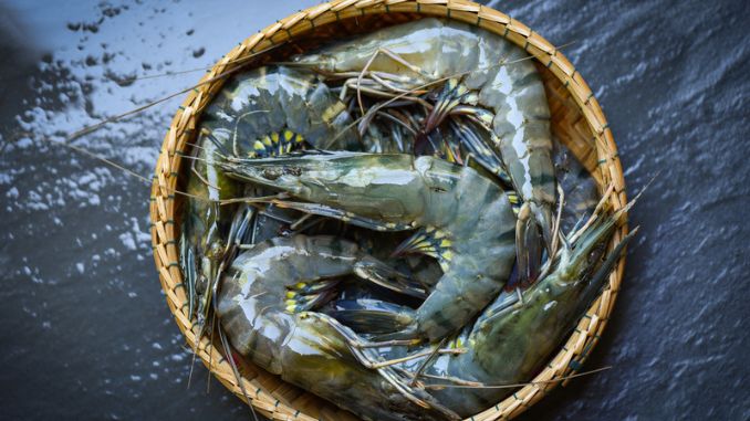 raw-shrimps-prawns