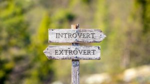 Introvert Extrovert