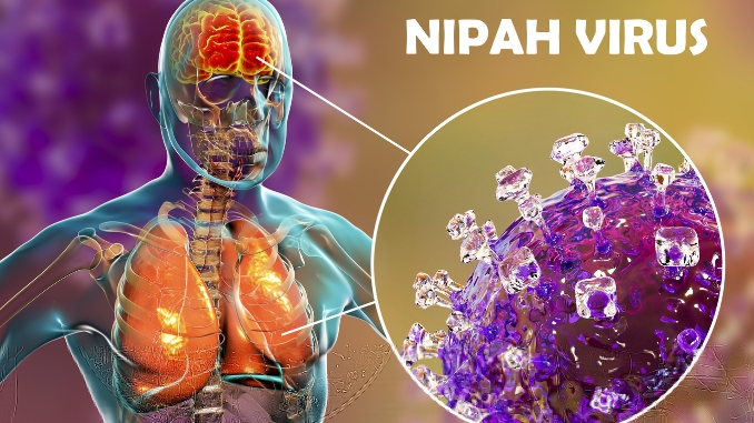 Nipah Virus