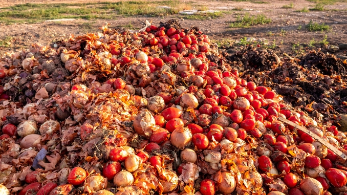 The Environmental Impact of Food Waste