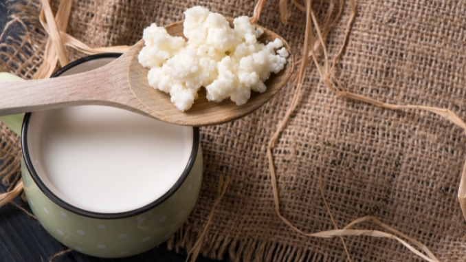 Definition and Origin of Kefir