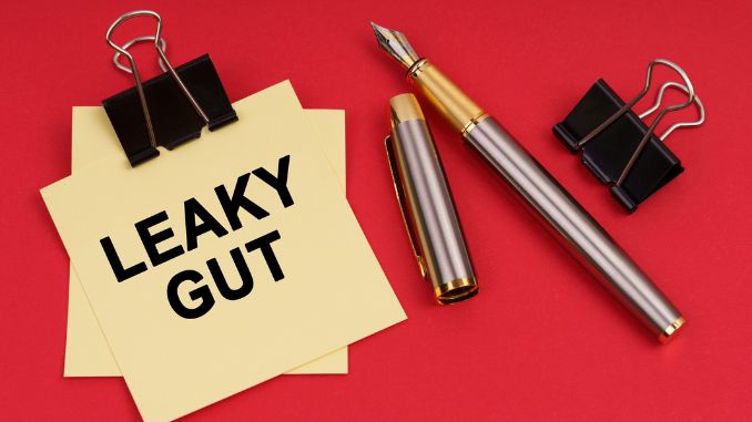 leaky gut - how to heal leaky gut