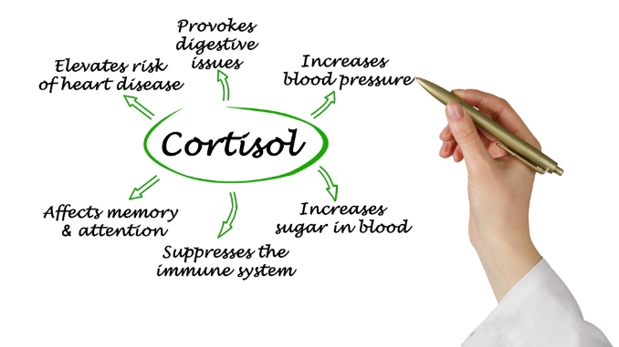 Low Cortisol Symtoms