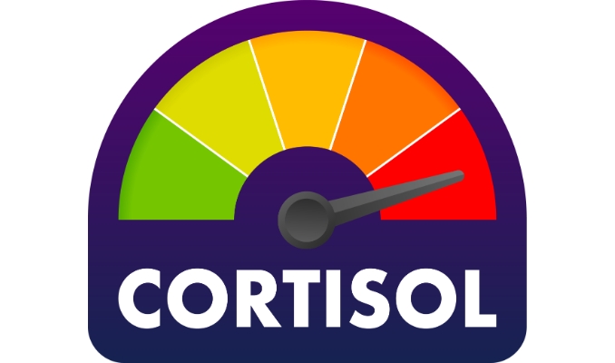 What is Cortisol