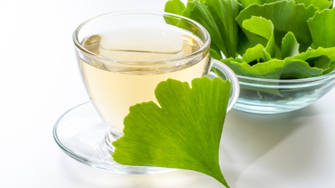 Ginkgo Biloba