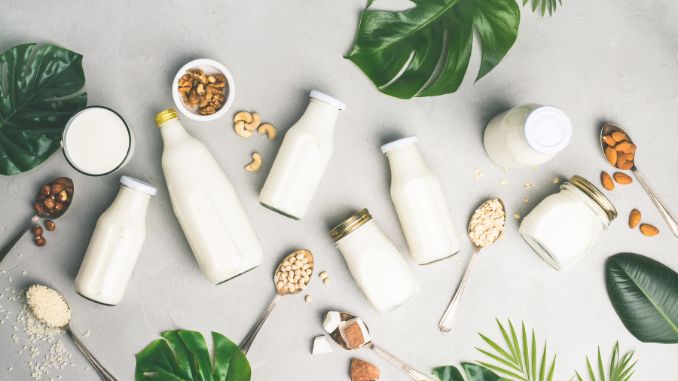 milk-substitute-drinks-and-ingredients